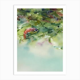 Shrimp II Storybook Watercolour Art Print