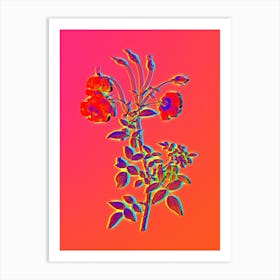 Neon Red Rose Botanical in Hot Pink and Electric Blue n.0027 Art Print