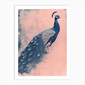 Pink & Blue Peacock Portrait 2 Art Print