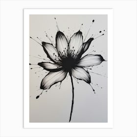 Lotus Flower 8 Art Print