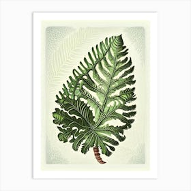 Rock Cap Fern Vintage Botanical Poster Art Print