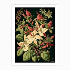 Honeysuckle 2 Floral Botanical Vintage Poster Flower Art Print