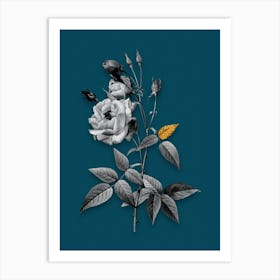 Vintage Common Rose of India Black and White Gold Leaf Floral Art on Teal Blue n.0056 Art Print
