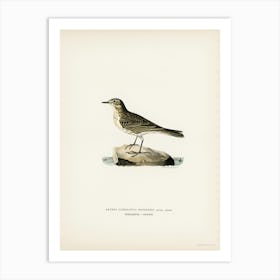 Water Pipi, The Von Wright Brothers Art Print