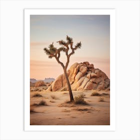  Photograph Of A Joshua Tree In Rocky Landscape 4 Art Print