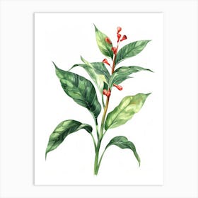 Watercolor Illustration Of A Plant Art Print