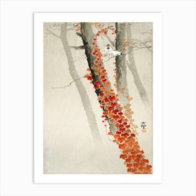 Red Ivy (1900 1930), Ohara Koson Art Print