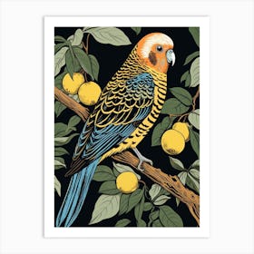 Vintage Bird Linocut Budgerigar 4 Art Print