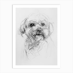 Bichon Frise Dog Charcoal Line 1 Art Print