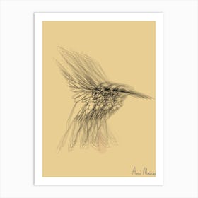 Colibri002 Art Print