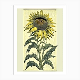 Yellow Coneflower Floral 1 Botanical Vintage Poster Flower Art Print