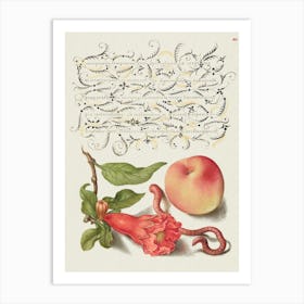 Pomegranate, Worm, And Peach From Mira Calligraphiae Monumenta Or The Model Book Of Calligraphy (1561–1596), Joris Hoefnagel Art Print