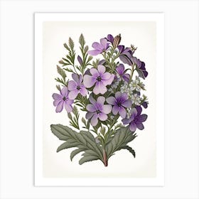 Phlox Floral 1 Botanical Vintage Poster Flower Art Print