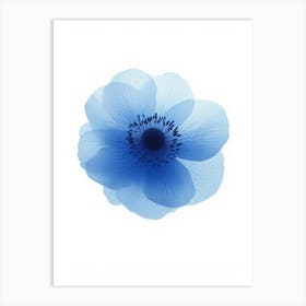 Blue Poppy Art Print