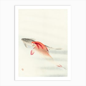 Two Carp (1900 1930), Ohara Koson 1 Art Print