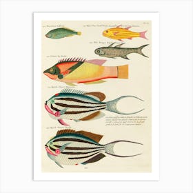 Colourful And Surreal Illustrations Of Fishes Found In Moluccas (Indonesia) And The East Indies, Louis Renard(54) Art Print