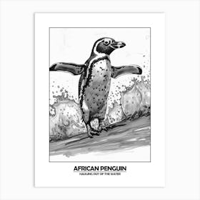 Penguin Hauling Out Of The Water Poster 3 Art Print