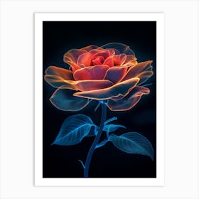 Flora Rose Art Print