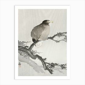 White Tailed Eagle On Branch (1900 1930), Ohara Koson Art Print