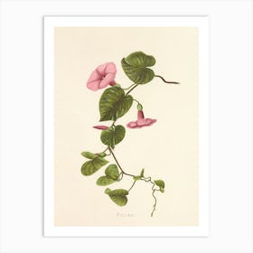 Pink Flowers On A Branch 1 Art Print