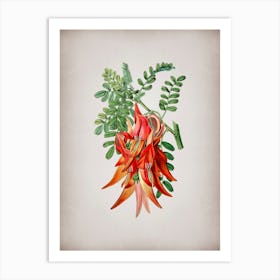Vintage Crimson Glory Pea Flower Botanical on Parchment n.0569 Art Print