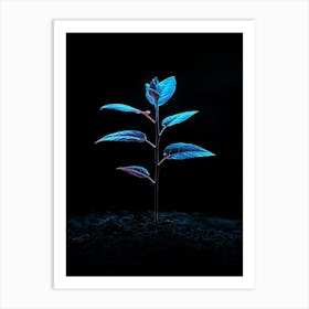 Small Plant On A Black Background Art Print