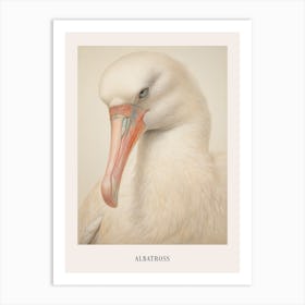 Vintage Bird Drawing Albatross 1 Poster Art Print