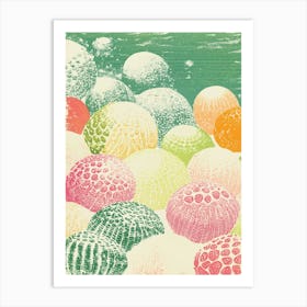 Seashells 1 Art Print