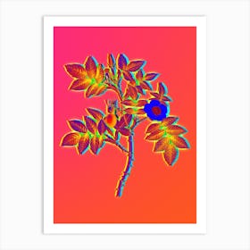 Neon Mountain Rose Bloom Botanical in Hot Pink and Electric Blue n.0080 Art Print