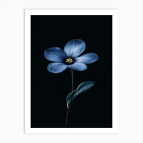 Dark Blue Flower Art Print