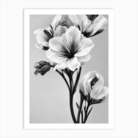 Snapdragons B&W Pencil 3 Flower Art Print