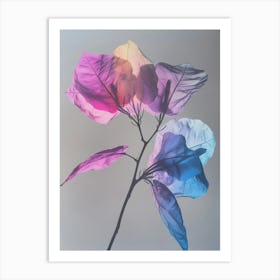 Iridescent Flower Bougainvillea 1 Art Print