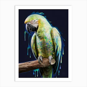 Parrot 1 Art Print