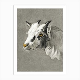 Head Of A Goat, Jean Bernard Art Print