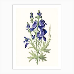 Larkspur Wildflower Vintage Botanical 2 Art Print