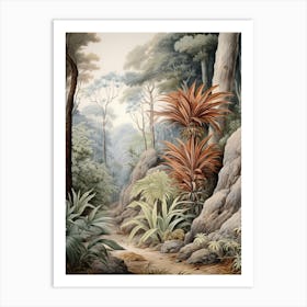 Vintage Jungle Botanical Illustration Cordyline 2 Art Print