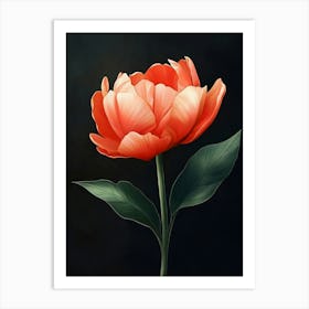 Tulip 3 Art Print