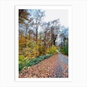 Autumn Road In The Forest Art Print