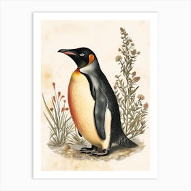 Adlie Penguin Phillip Island The Penguin Parade Vintage Botanical Painting 4 Art Print