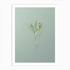 Vintage Witsenia Maura Botanical Art on Mint Green n.0665 Art Print