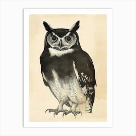 African Wood Owl Vintage Illustration 1 Art Print