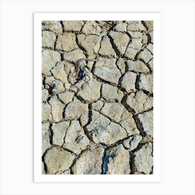 Cracked Earth Texture in Camargue. The image showcases a close-up view of cracked earth, revealing a network of intricate fissures and crevices. The dominant color is a muted gray, with subtle variations in shade and texture. The cracks are deep and pronounced, creating a sense of dryness and aridity. The overall mood is one of desolation and harshness, highlighting the effects of drought or lack of moisture. 1 Art Print