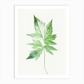 Nettle Leaf Minimalist Watercolour 3 Art Print