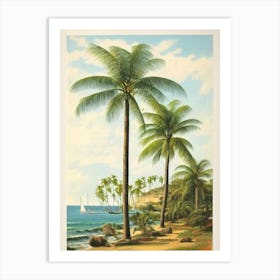 Shelly Beach Australia Vintage Art Print