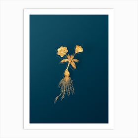 Vintage Cape Tulip b Botanical in Gold on Teal Blue n.0143 Art Print