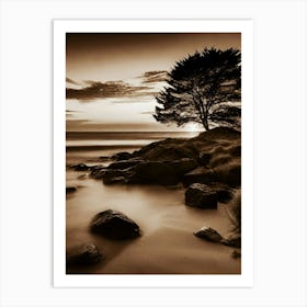 Lone Tree At Sunset 13 Art Print