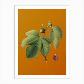 Vintage Briansole Figs Botanical on Sunset Orange Art Print