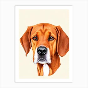 Redbone Coonhound Illustration Dog Art Print
