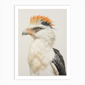 Vintage Bird Drawing Crested Caracara 1 Art Print