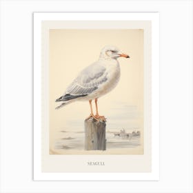 Vintage Bird Drawing Seagull 1 Poster Art Print